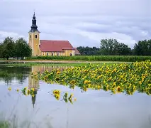 时时彩-苏格兰客场战平斯洛文尼亚，晋级前景堪忧的简单介绍