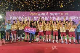 鲁能客场大败,积分榜后段位碰上保级危机(鲁能最近比赛成绩) 鲁能客场大败,积分榜后段位碰上保级危机(鲁能最近比赛成绩)